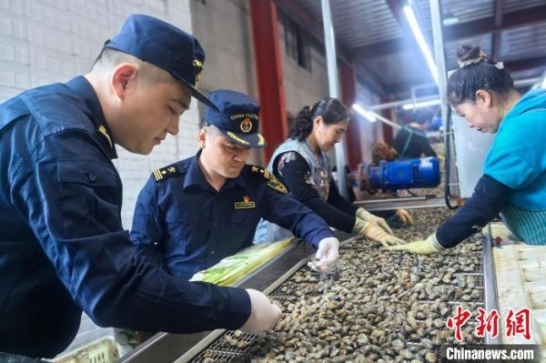 配资上市公司一览表 搭乘RCEP东风 辽宁特色水产品争“鲜”出海