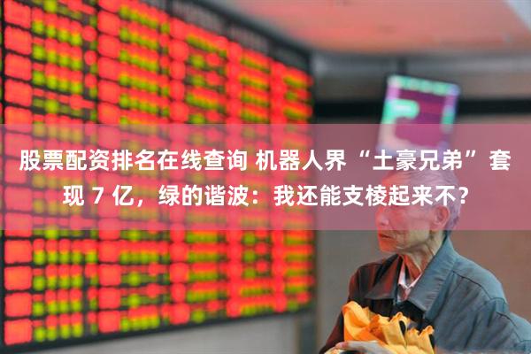 股票配资排名在线查询 机器人界 “土豪兄弟” 套现 7 亿，绿的谐波：我还能支棱起来不？