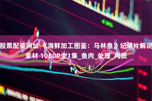 股票配资网址 《海鲜加工图鉴：马林鱼》纪录片解说素材 1080P全1集_鱼肉_处理_肉质